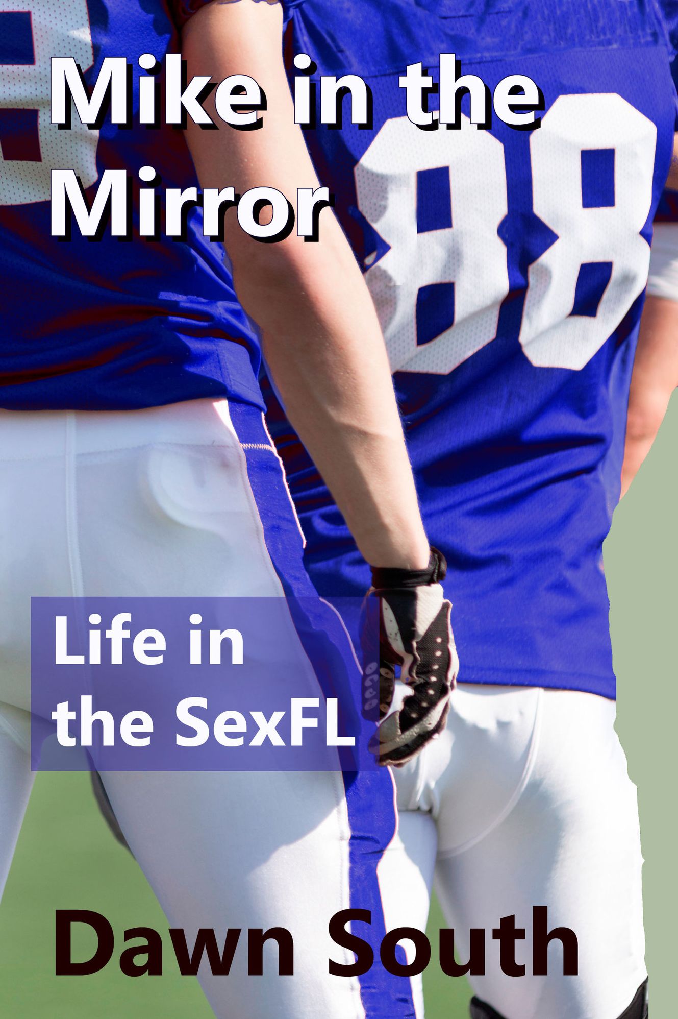 Mike in the Mirror (Life in the SexFL)