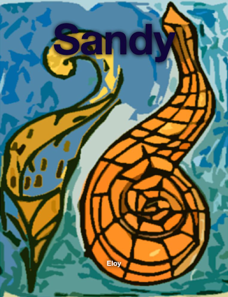 Sandy; the story of hurricane sandy