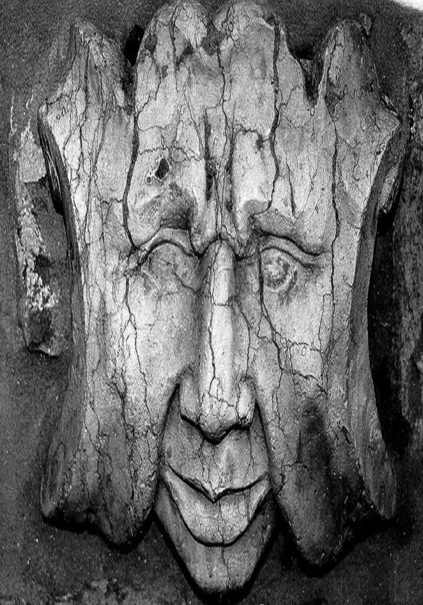 Short stories: The Great Stone Face and other Tales ( adventure, sea, romantic, action, adventure, historical, romantic, thriller, crime, journey, battle, war, science fiction, rpg, amazing, Greeks, romance )