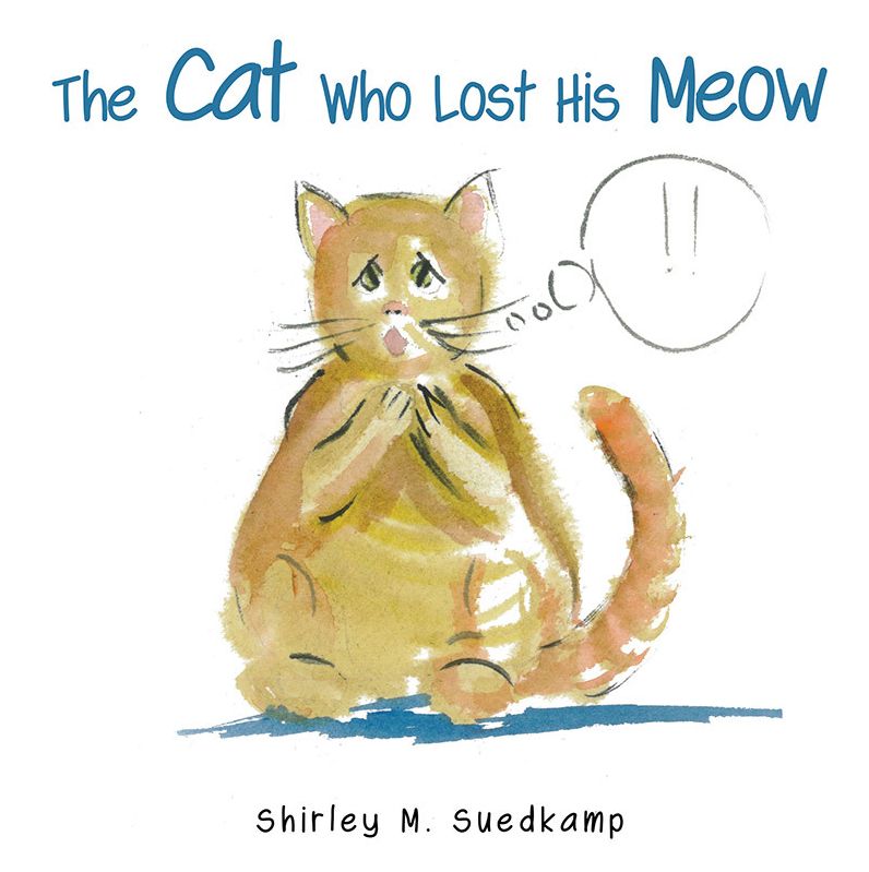 The Cat Who Lost His Meow