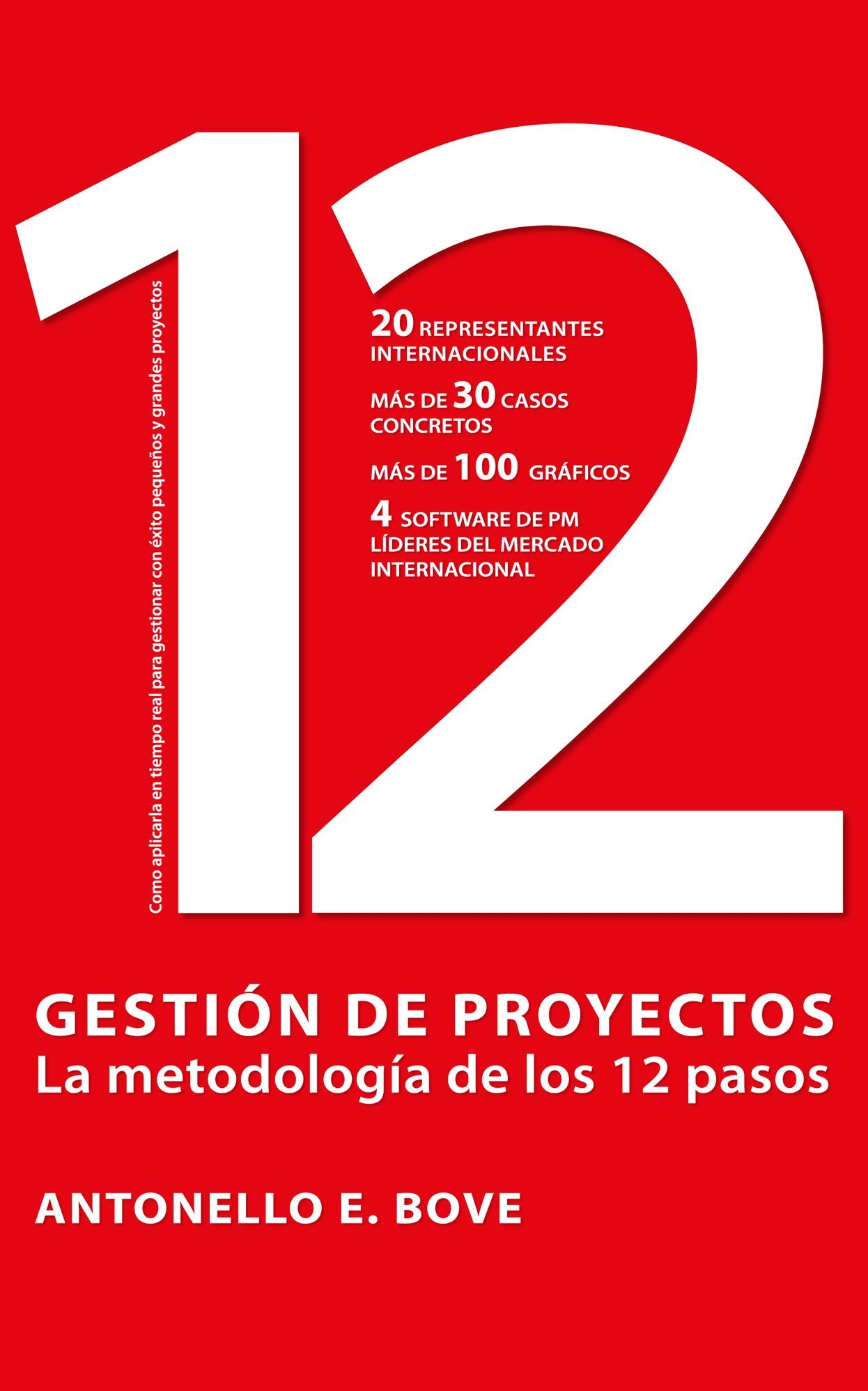 Gest&iacute;on de Proyectos: La Metodolog&iacute;a de los12 Pasos