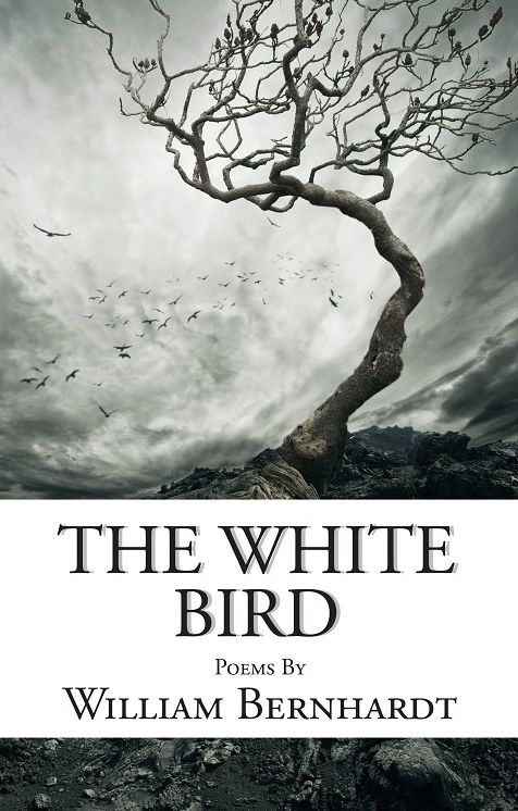 The White Bird