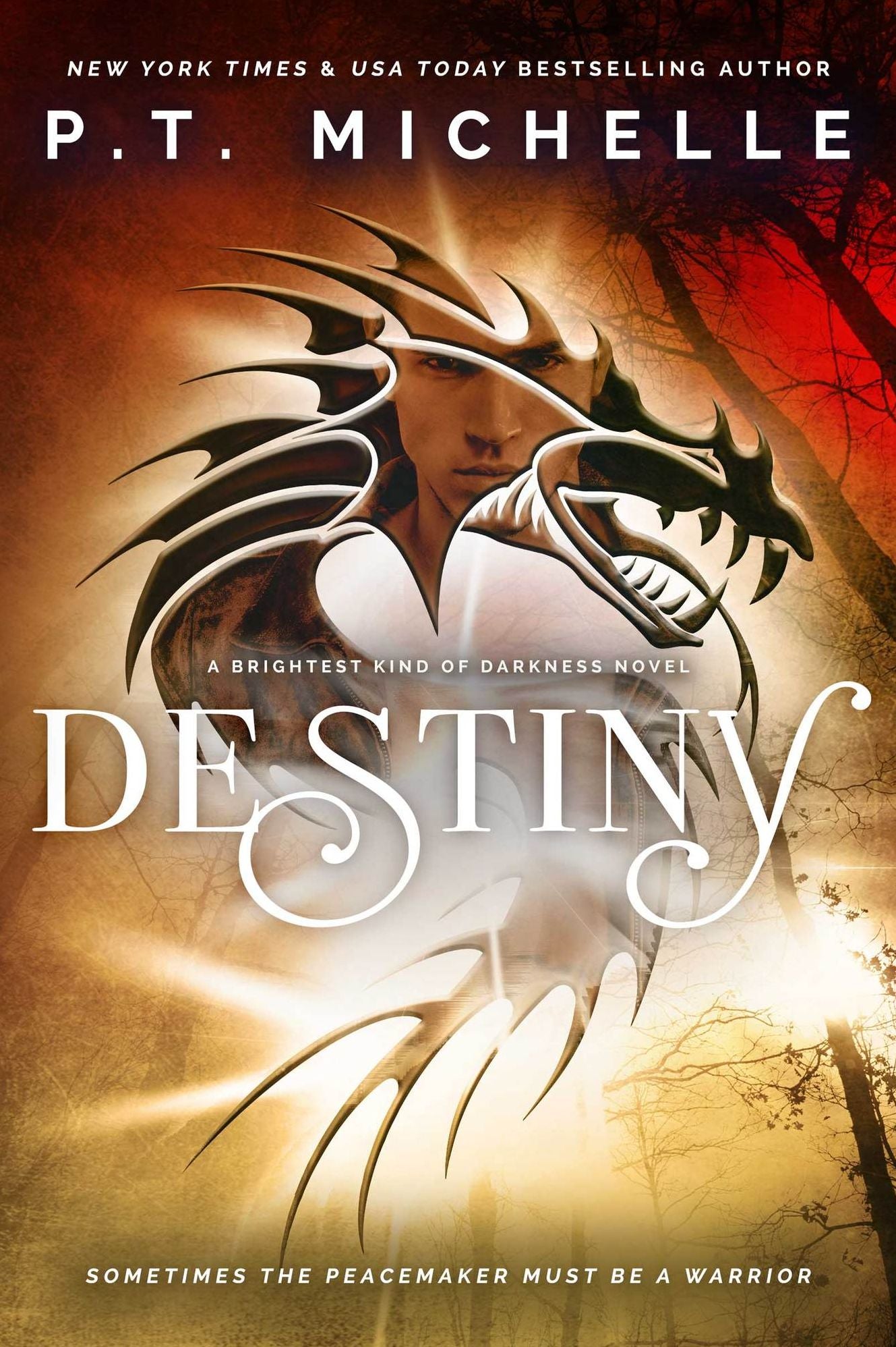 Destiny (Brightest Kind of Darkness, Book 3)