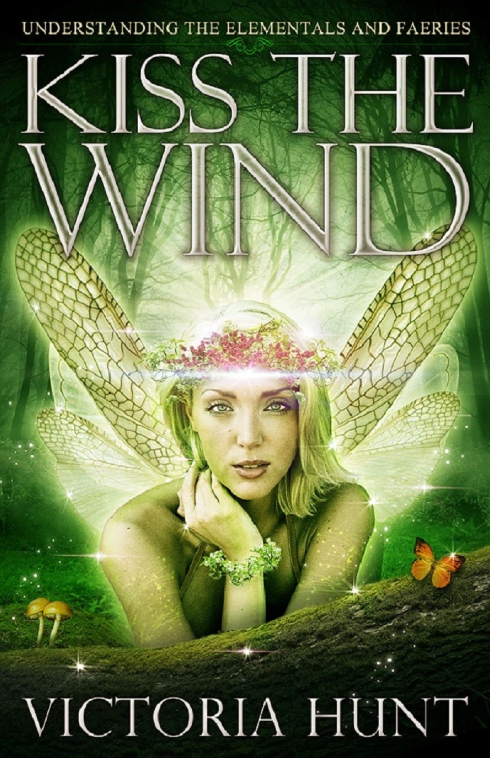 Kiss the Wind: Understanding the Elementals and Faeries