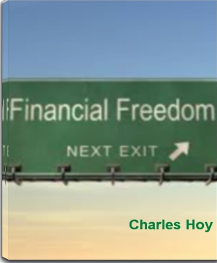 Financial Freedom: A No Fail Plan To Make Money Online, Freelance Work, Online Portfolio, Work At Home and Much More