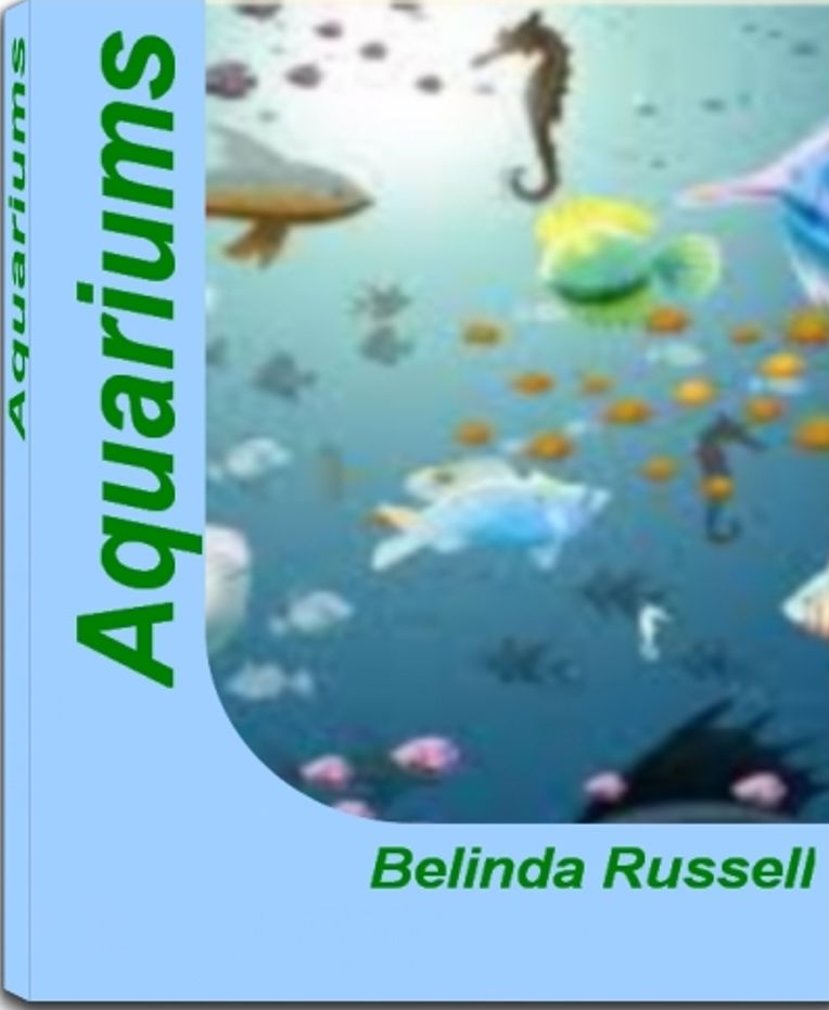 Aquariums: A Single Source For Saltwater Aquarium, Freshwater Aquarium, Aquarium Supplies, Glass Aquariums, Custom Aquariums