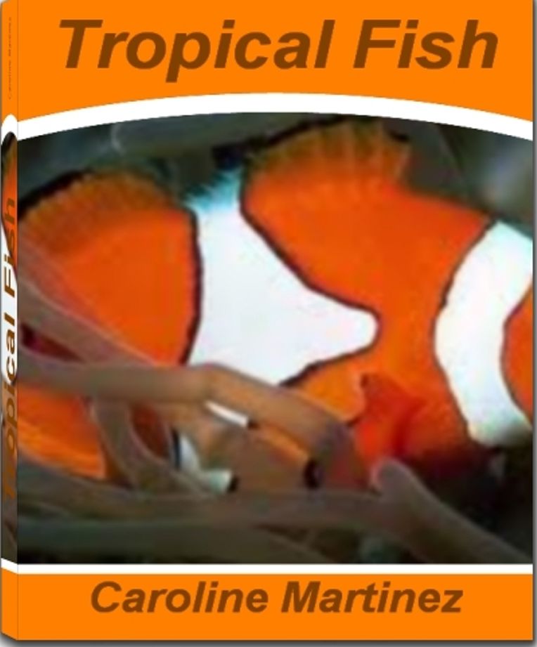 Tropical Fish: The Surprising, Unbiased Truth About Freshwater Tropical Fish, Breeding Tropical Fish, Aquarium Fish and More
