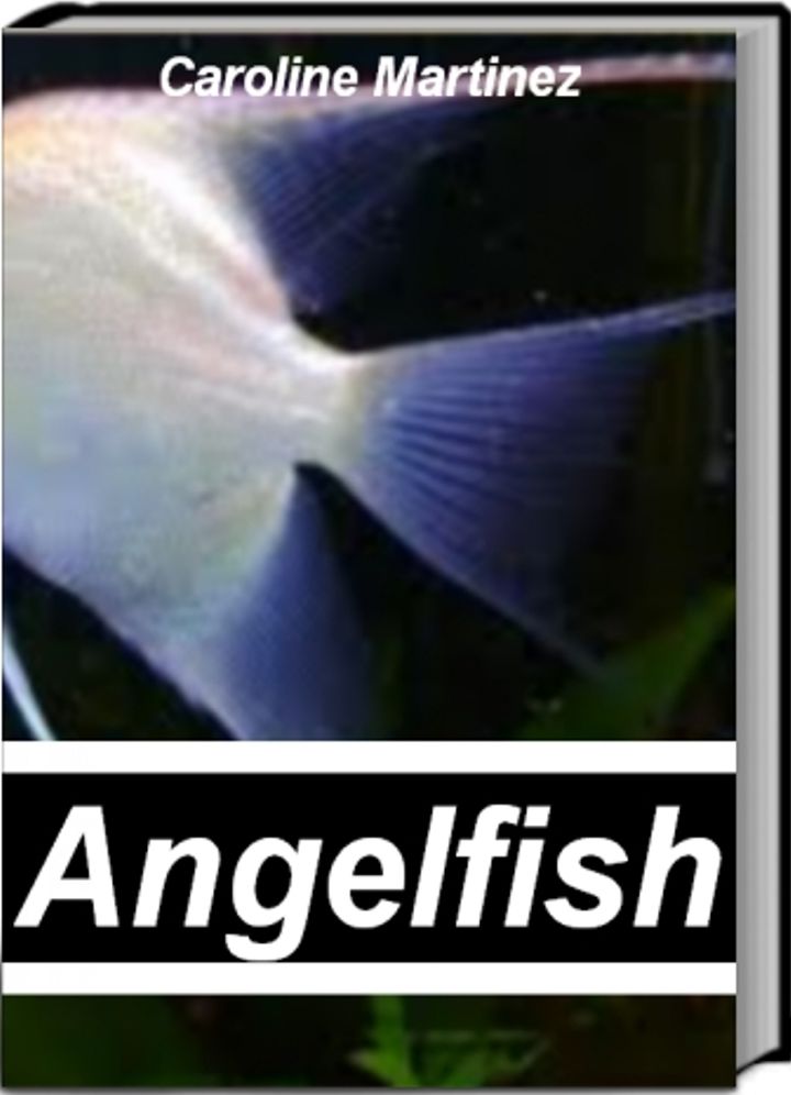 Angelfish: A Practical A-Z Reference Guide To Tiger Barb Fish, Barb Fish, Aquarium and Much More Fish Care Tips