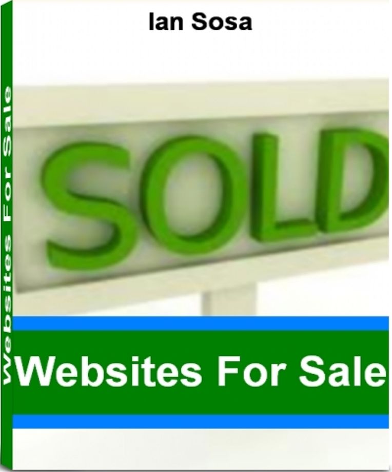 Websites For Sale: A Step By Step Guide To Flipping Websites, Domain Hosting, How To Get Money Fast and Much More