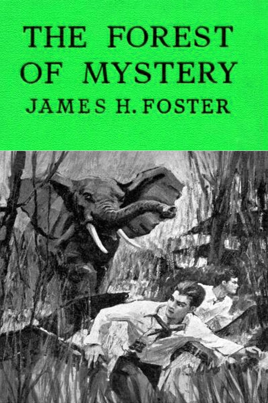 The Forest of Mystery by James H. Foster