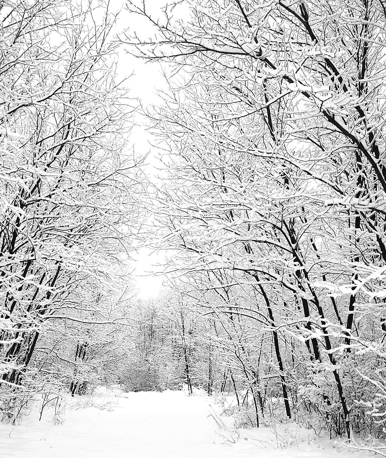 Adventure Books: The Winter's Tale ( adventure, sea, romantic, action, adventure, fiction, humorous, historical, romantic, thriller, crime, journey, battle, war, science fiction, rpg, amazing, Greeks, Trogan war, romance )