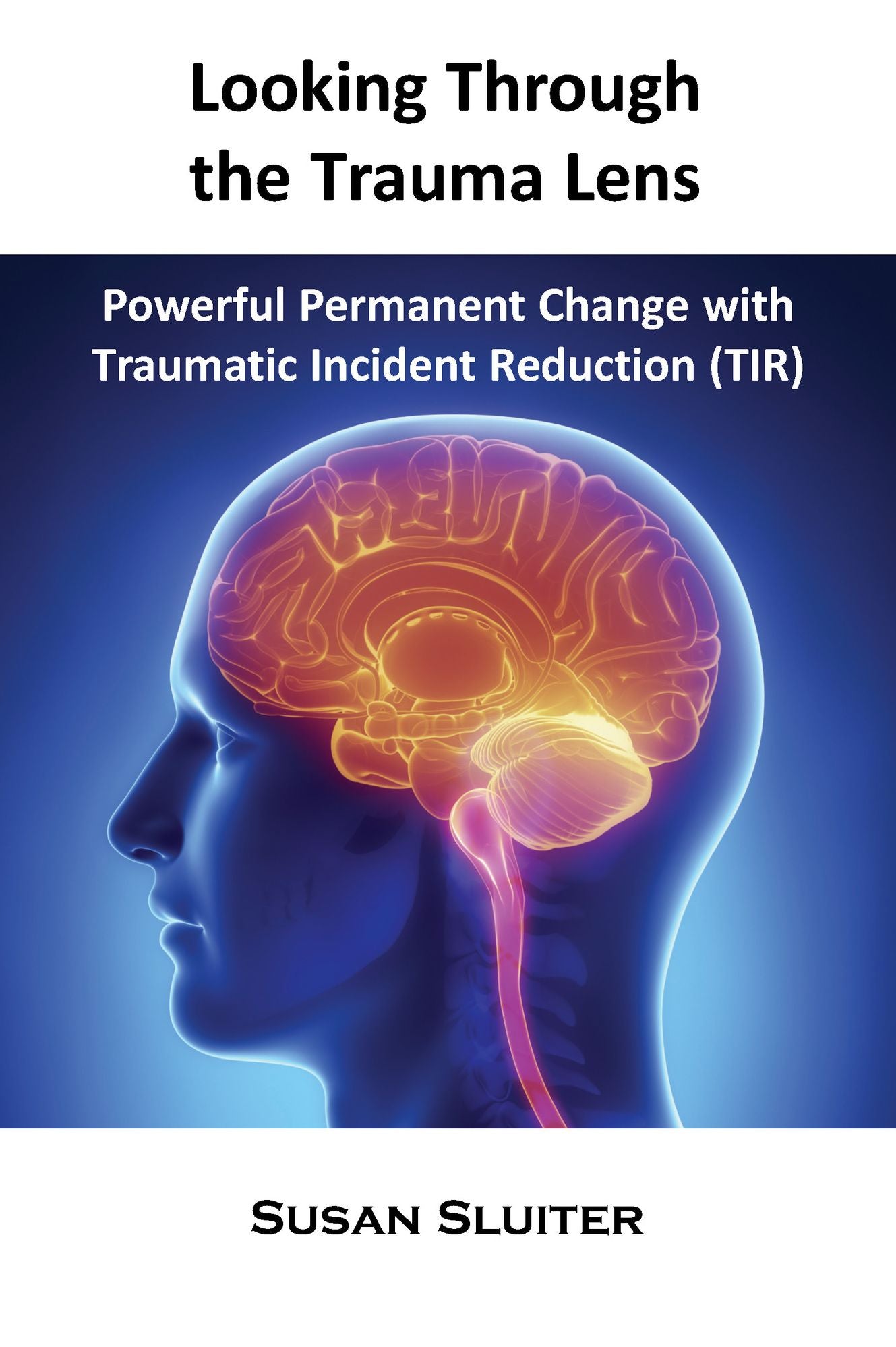 Looking Through the Trauma Lens: Powerful Permanent Change with Traumatic Incident Reduction (TIR)