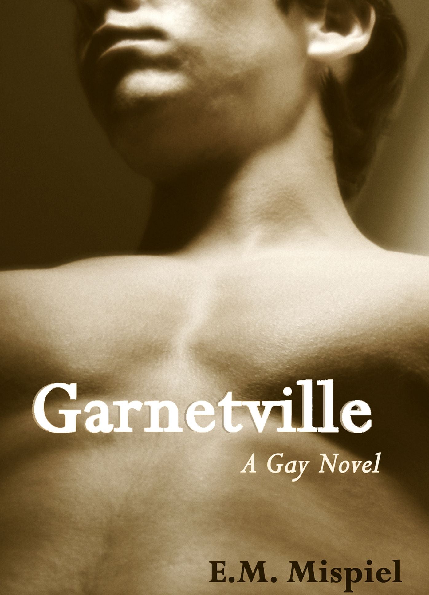 Garnetville: A Gay Novel