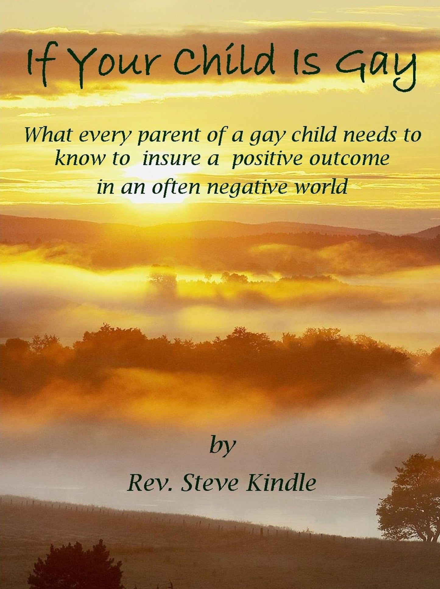 If Your Child Is Gay: What every parent of a gay child needs to know to insure a positive outcome in an often negative world