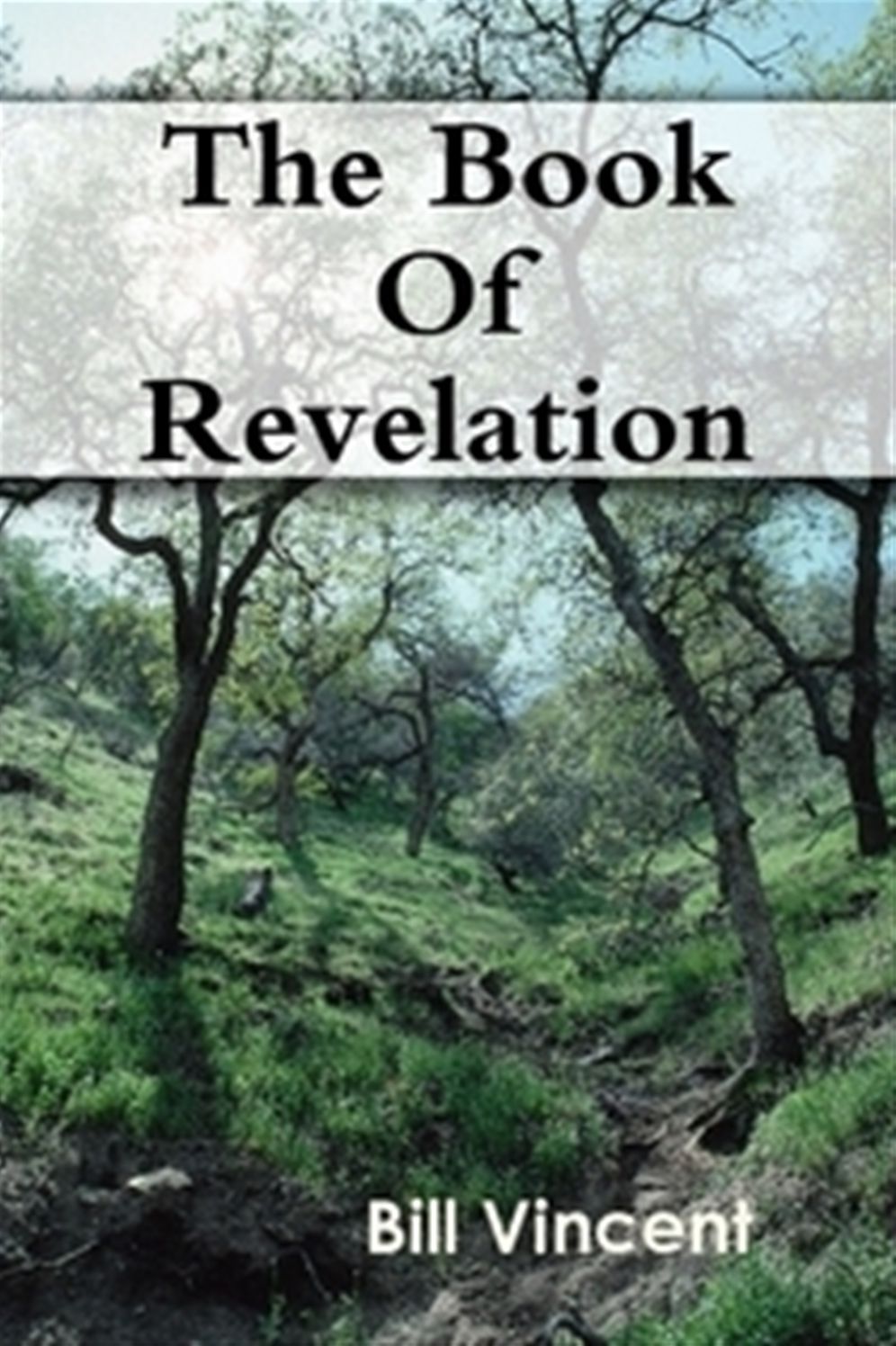 The Book Of Revelation