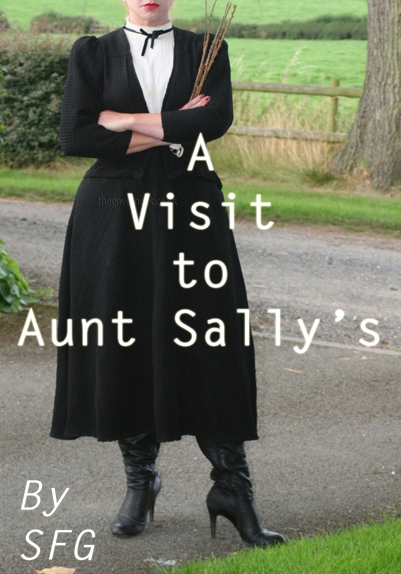 A Visit to Aunt Sally's