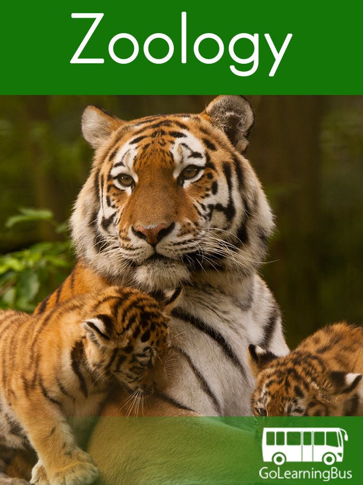 Learn Zoology - ByGoLearningBus