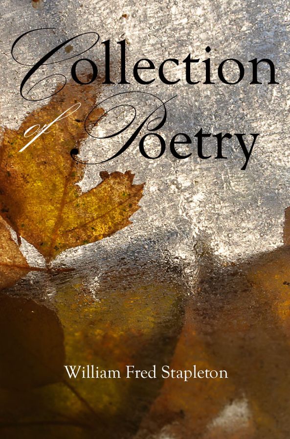 Collection of Poetry