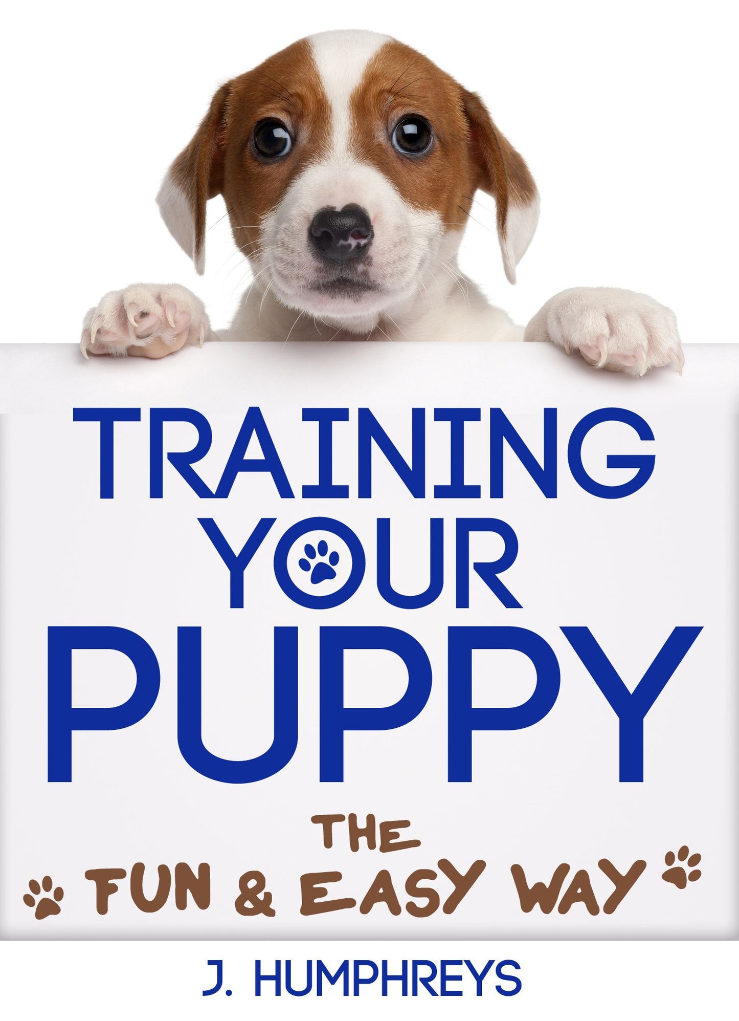 How To Train Your Puppy: The Fun & Easy Way