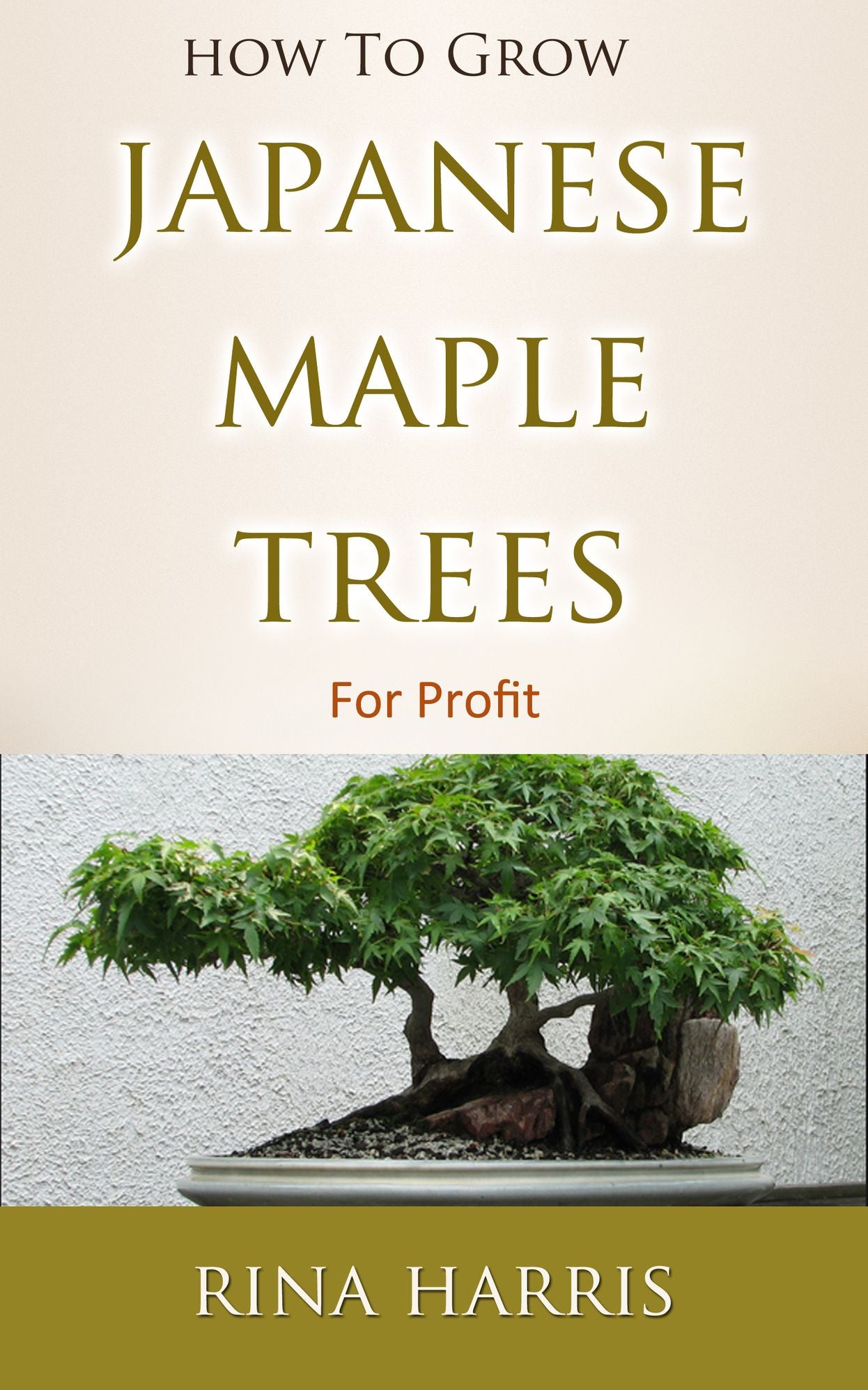 How To Grow Japanese Maple Trees For Profit : All Information Abour Care, Types, Variety, Seeds, Planting, Pruning, Propagation and Bonsai