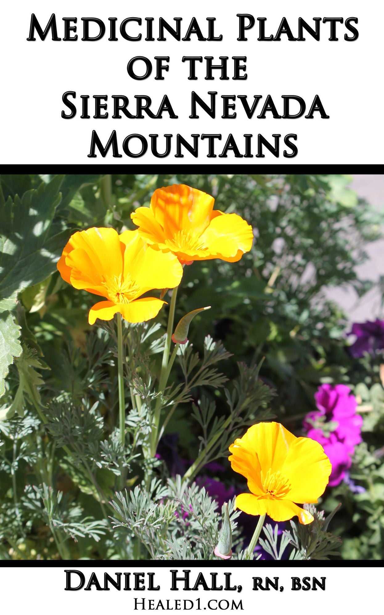 Medicinal Plants of the Sierra Nevada Mountains