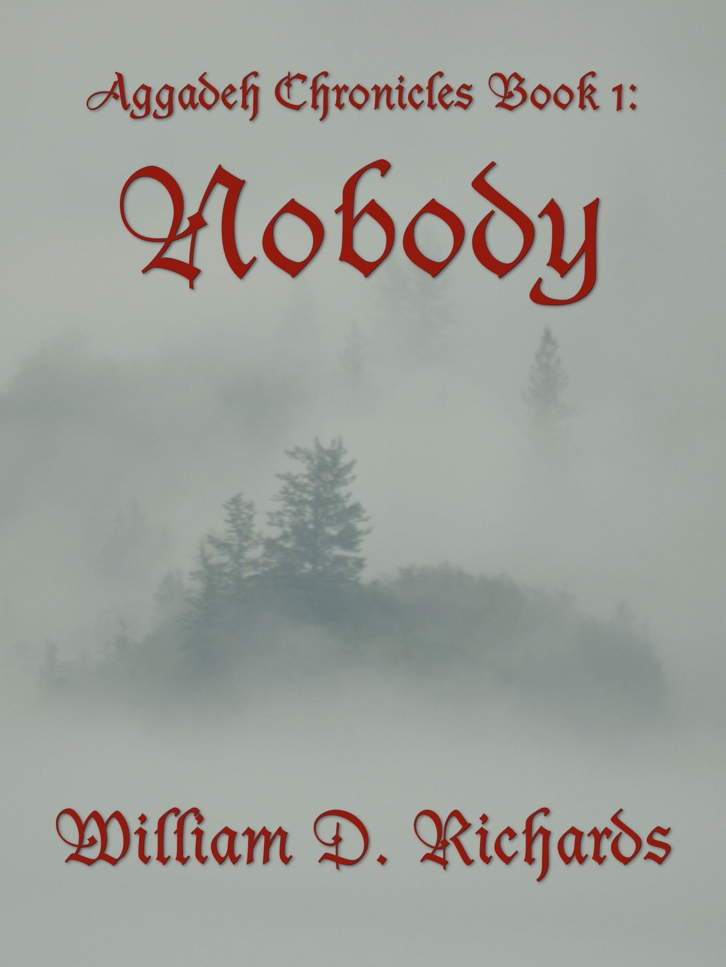 Aggadeh Chronicles Book 1: Nobody