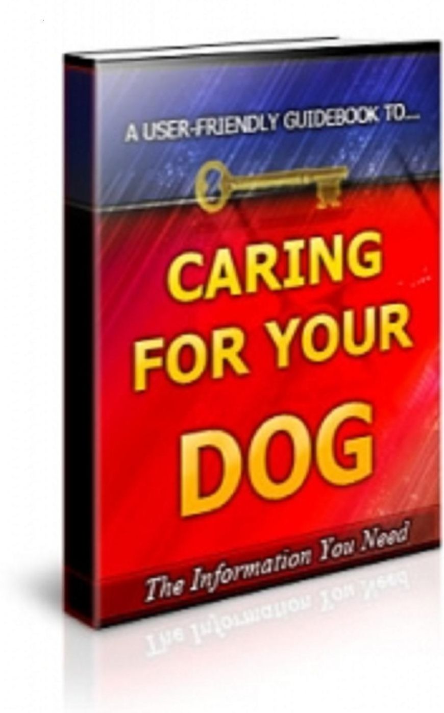 How To Caring For Your Dog