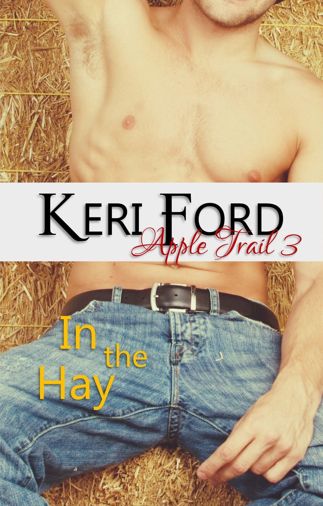 In The Hay (An Apple Trail Novella,3)