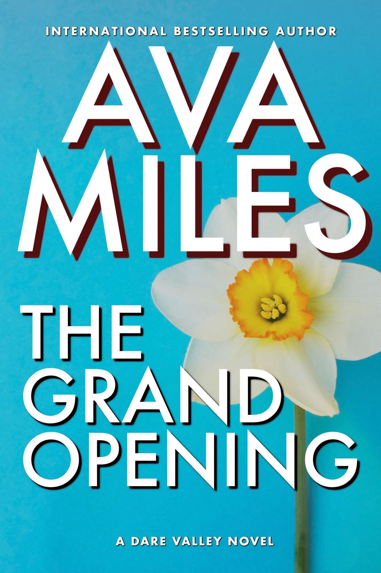The Grand Opening (Dare Valley)
