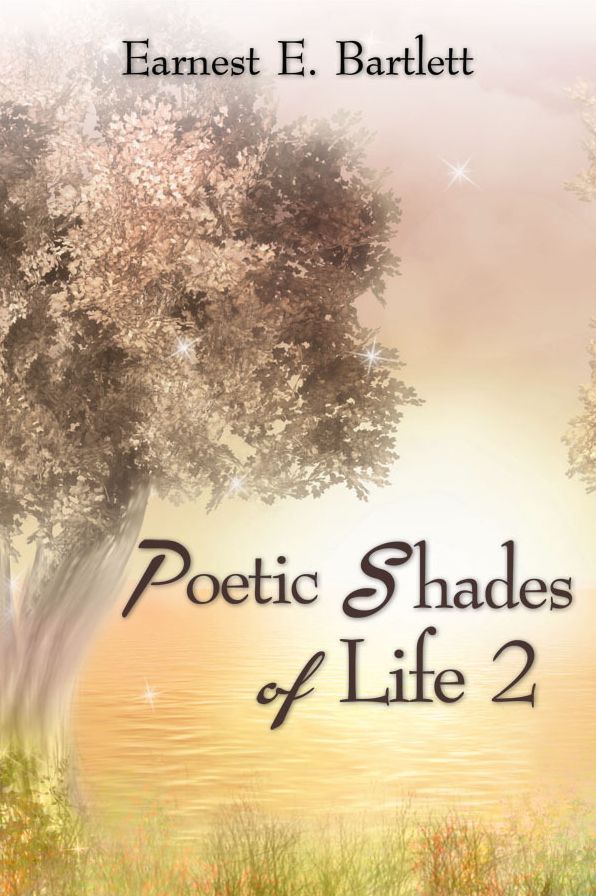 Poetic Shades of Life 2