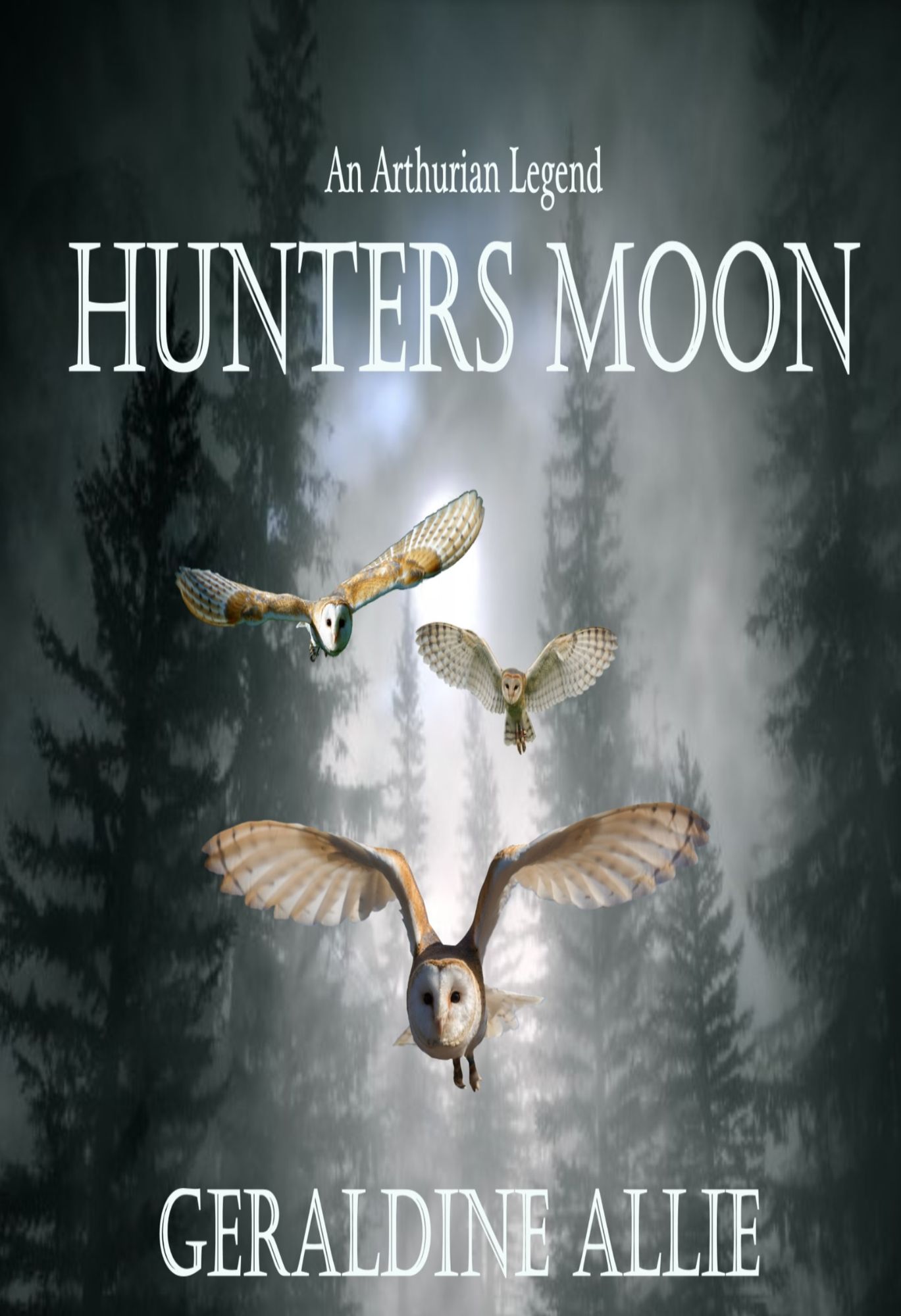 Hunters Moon: The Fae Medallion