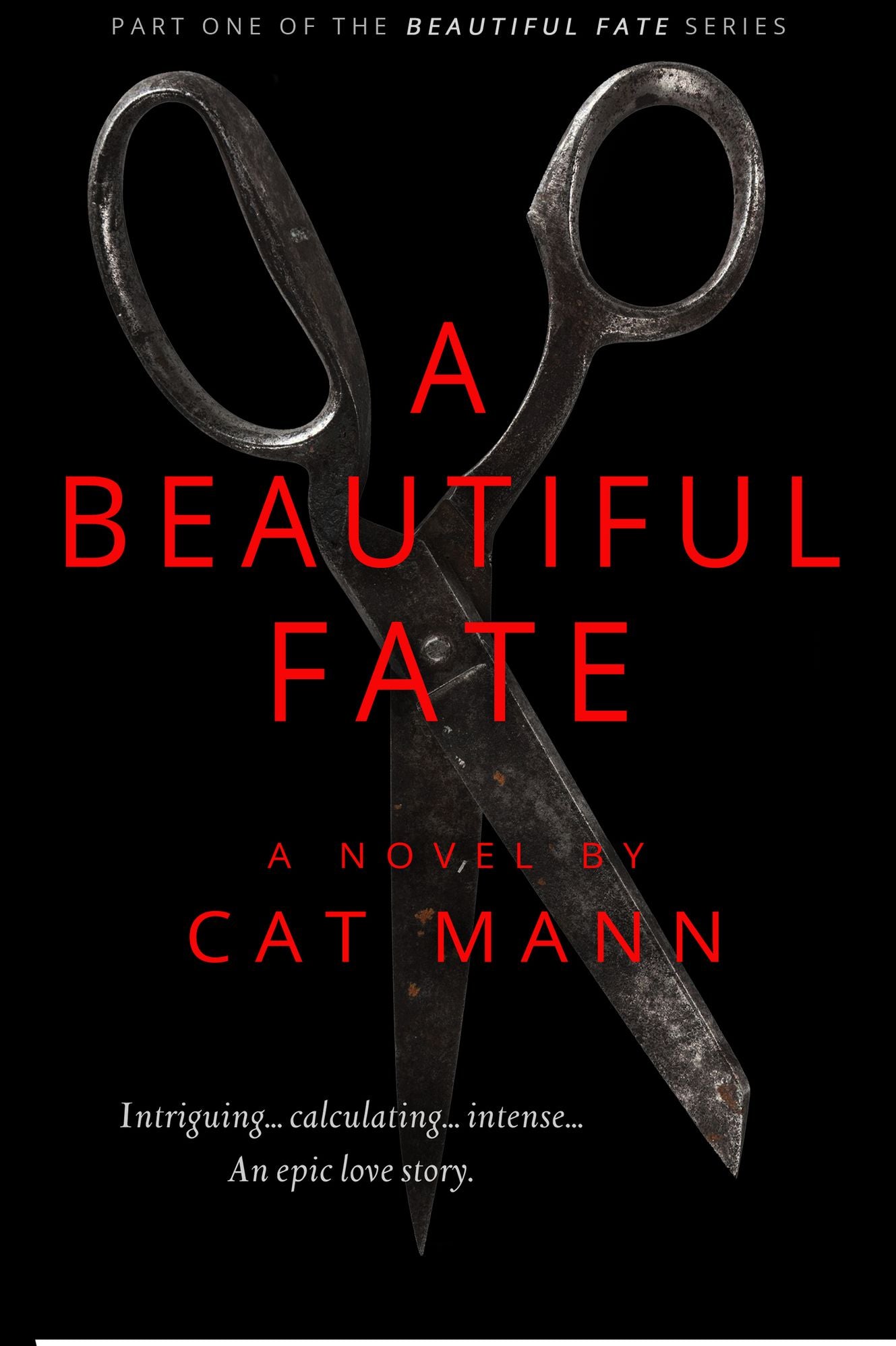 A Beautiful Fate