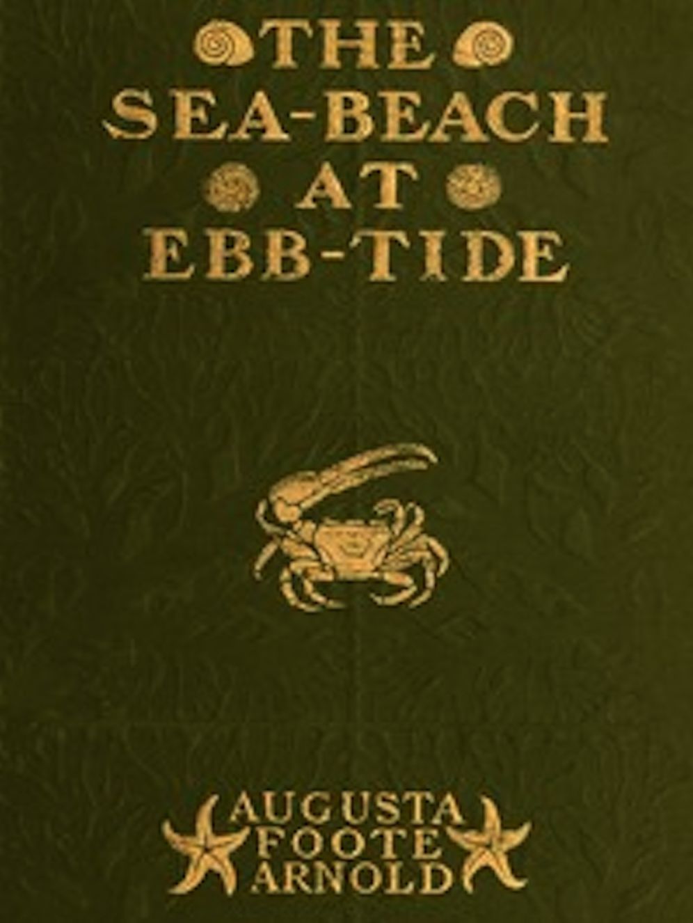 The Sea-beach at Ebb-tide (Illustrated)