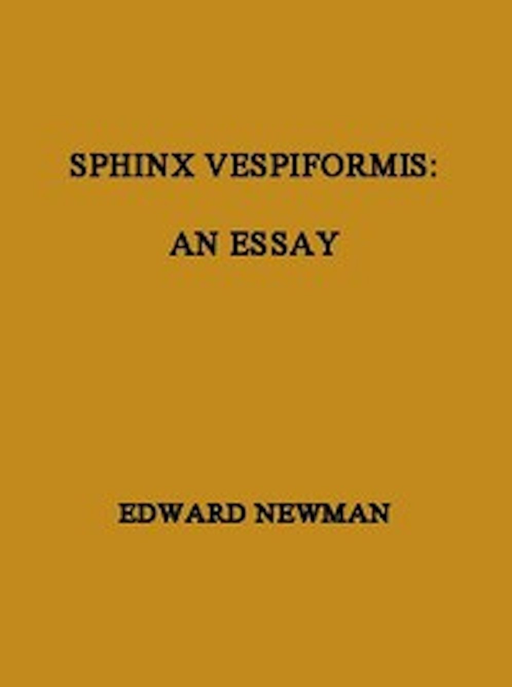 Sphinx Vespiformis (Illustrated)