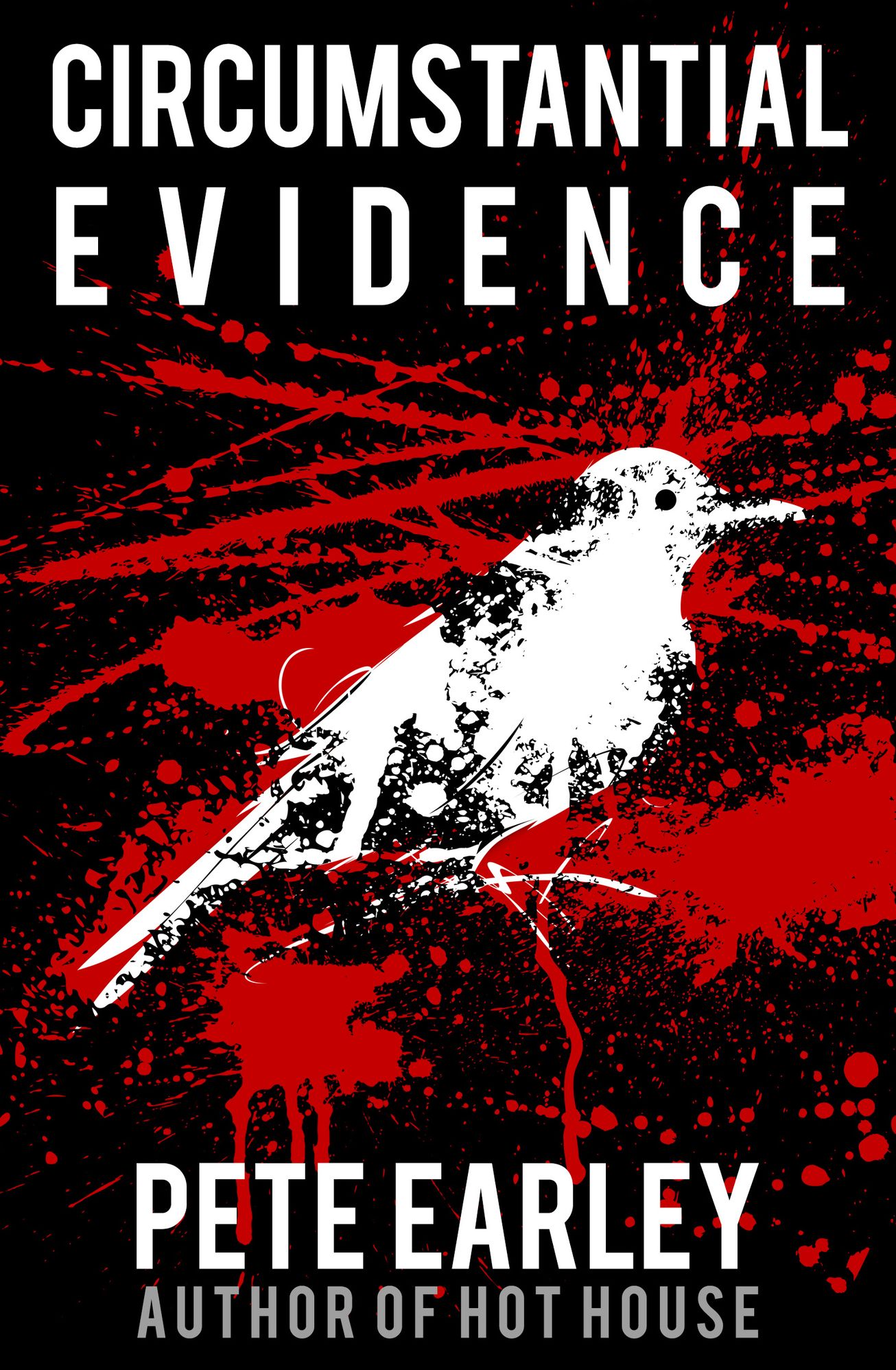 Circumstantial Evidence: Death, Life, and Justice in a Southern Town