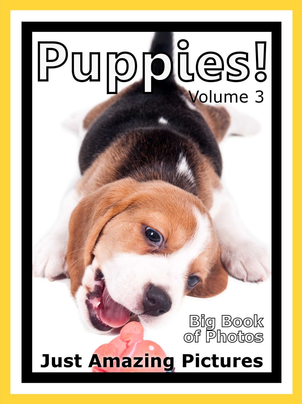 Just Puppy Photos! Big Book of Photographs & Pictures of Baby Dogs & Dog Puppies, Vol. 3