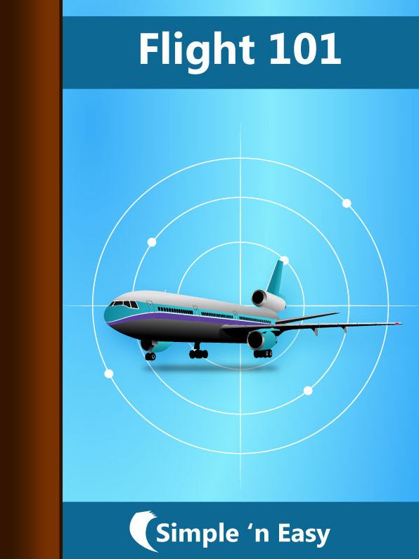 Flight 101