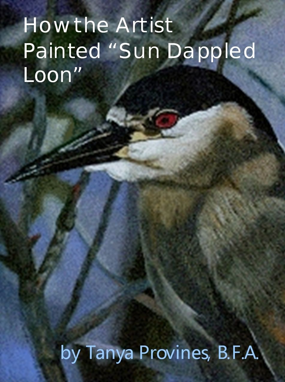 How The Artist Painted Sun Dappled Loon