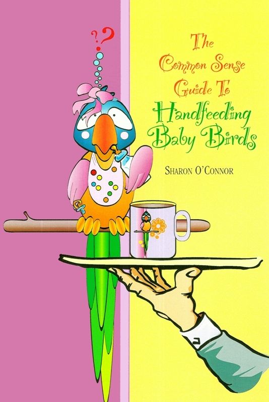 The Common Sense Guide to Handfeeding Baby Birds