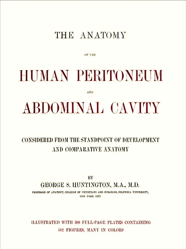 The Anatomy of the Human Peritoneum and Abdominal Cavity