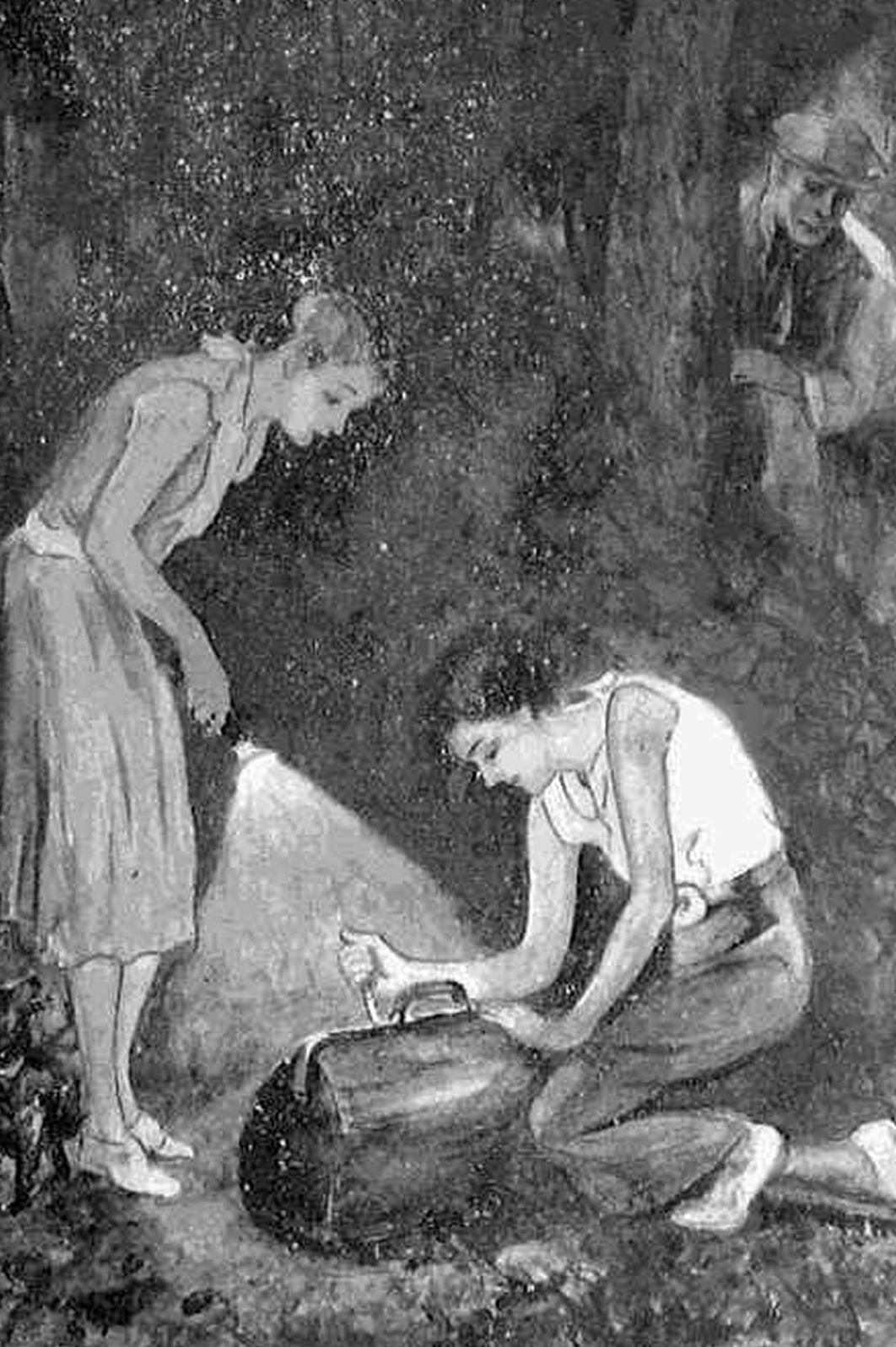 The Mystery at Dark Cedars by Edith Lavell
