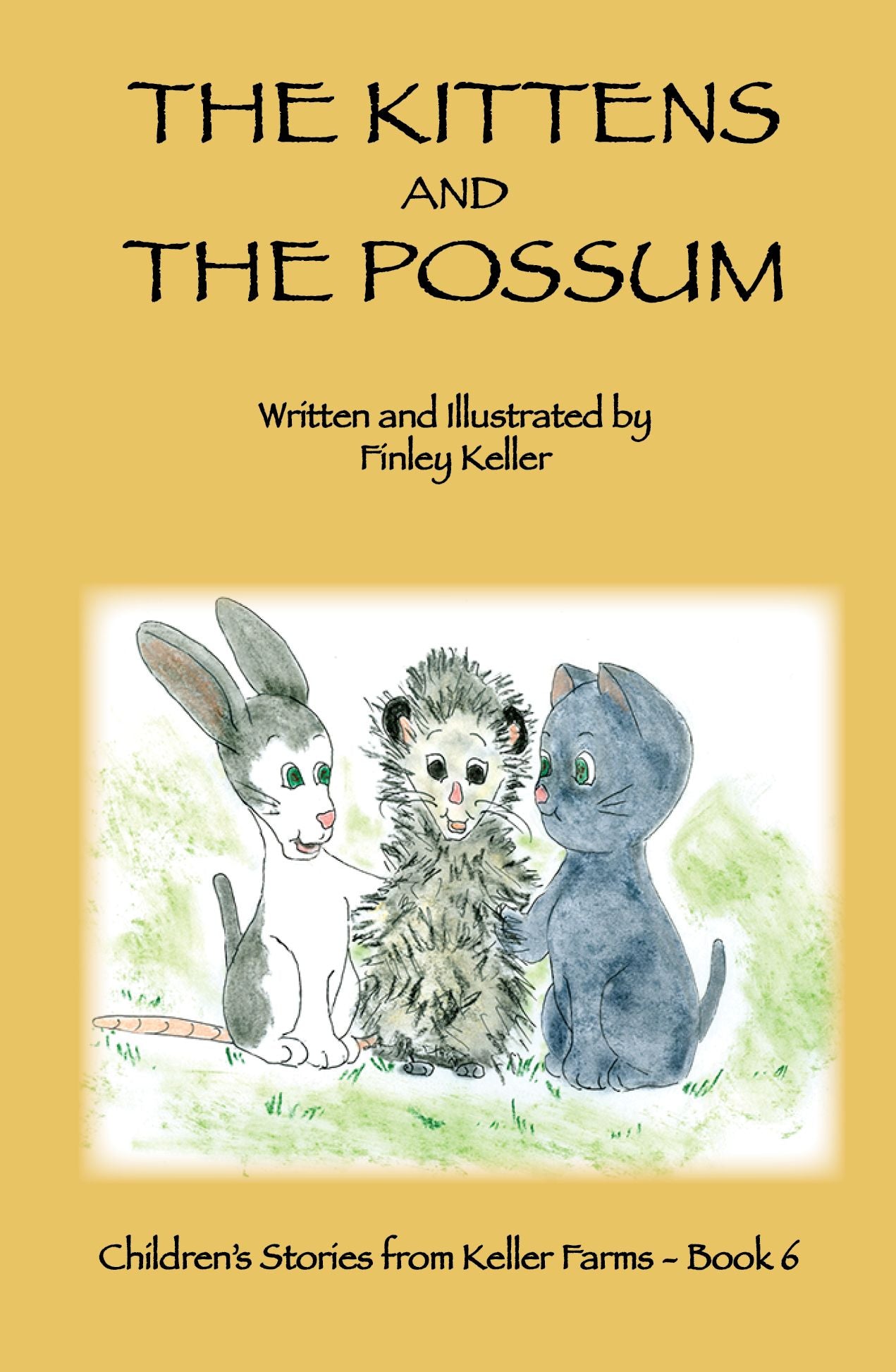 The Kittens and the Possum