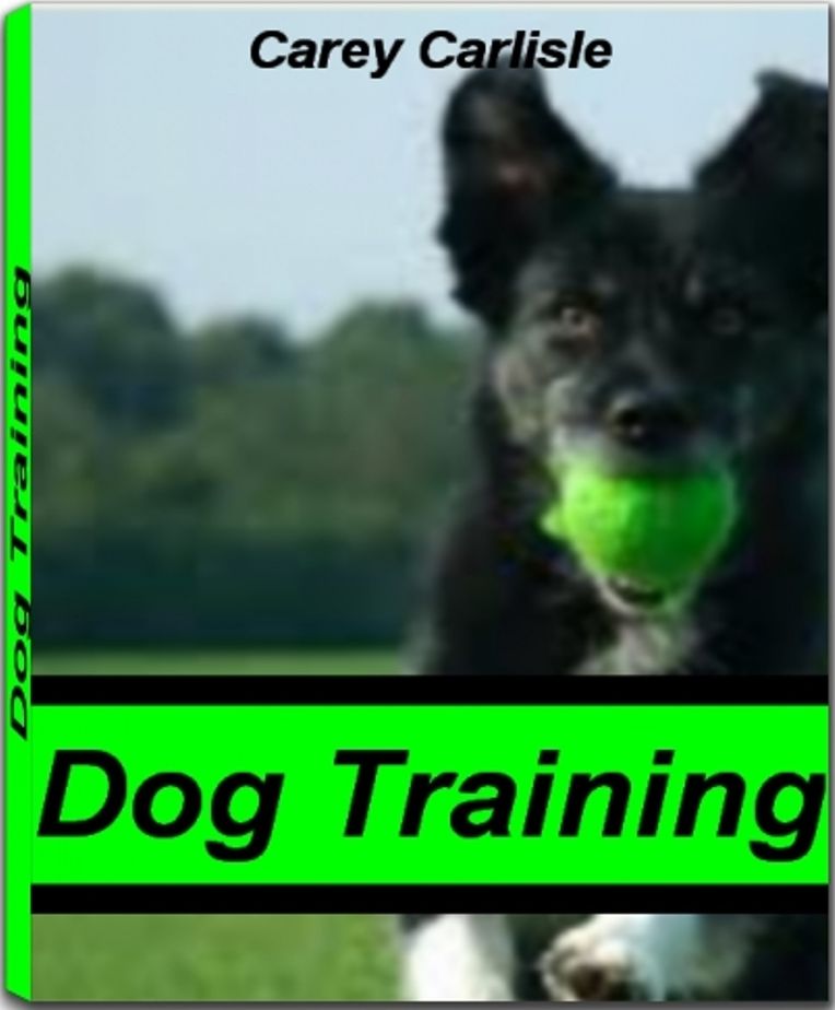 Dog Training: The Best Dog Training Tips, Puppy Training Tips, Dog Training Collars, Therapy Dog Training, Dog Obedience Training and More