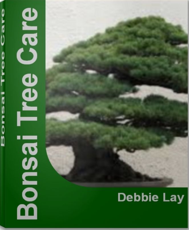 Bonsai Tree Care: The Complete Practical Encyclopedia of Bonsai Trees, Types of Bonsai Trees, Indoor Bonsai Tree, Bonsai Tree Kit, Bonsai Tree Seeds