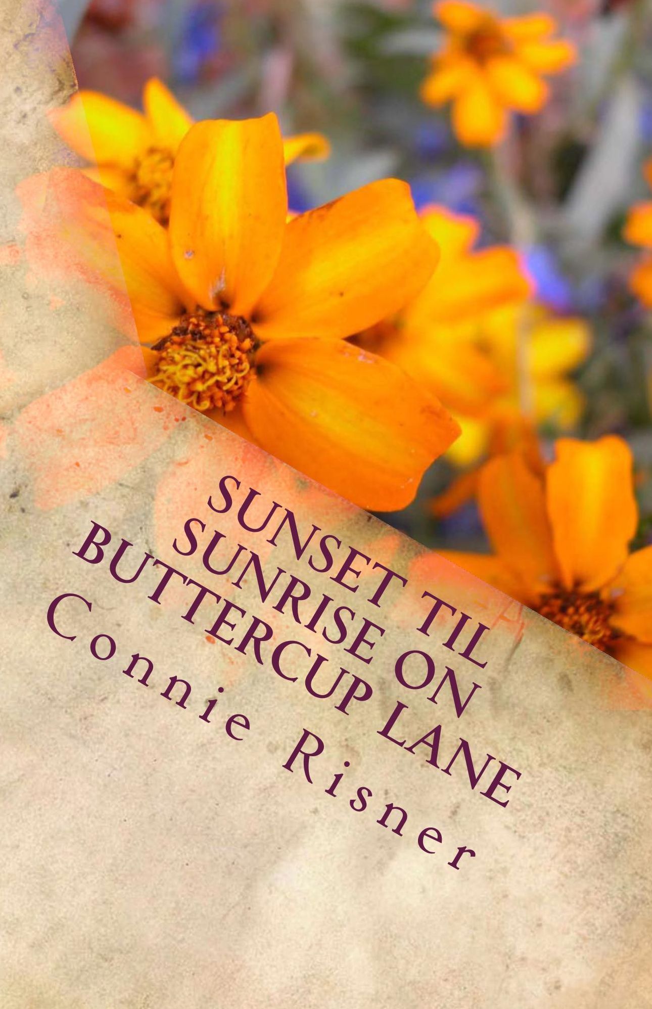 Sunset To Sunrise On Buttercup Lane
