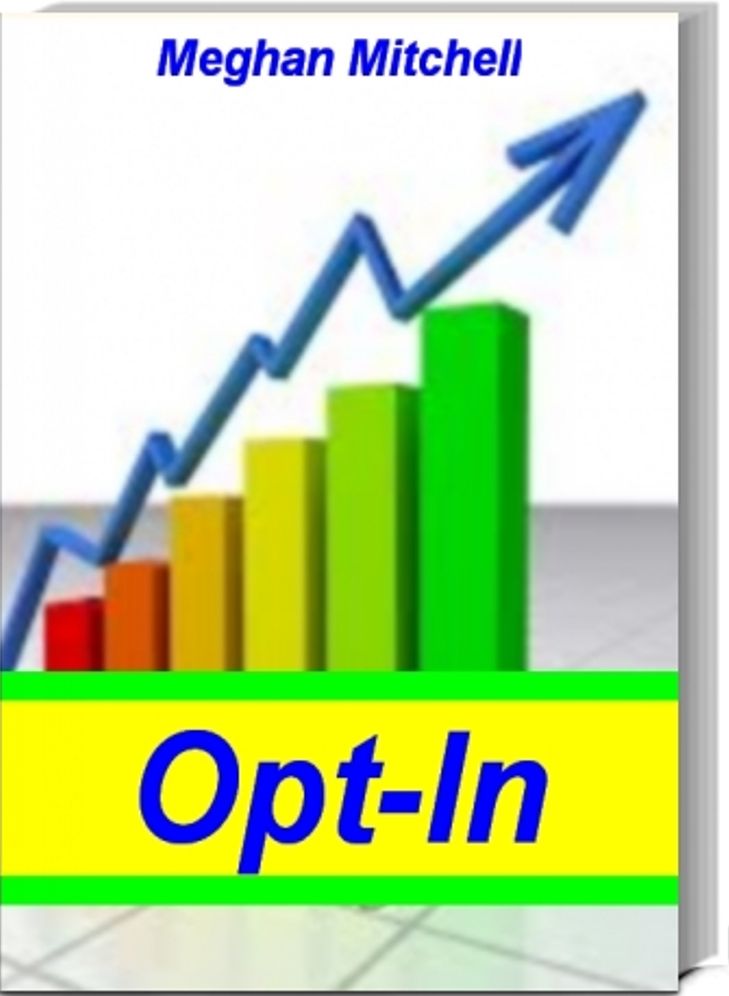 Opt-In: Skyrocket Your Business By Learning Powerful List Building Strategies, Opt In Email Marketing and More