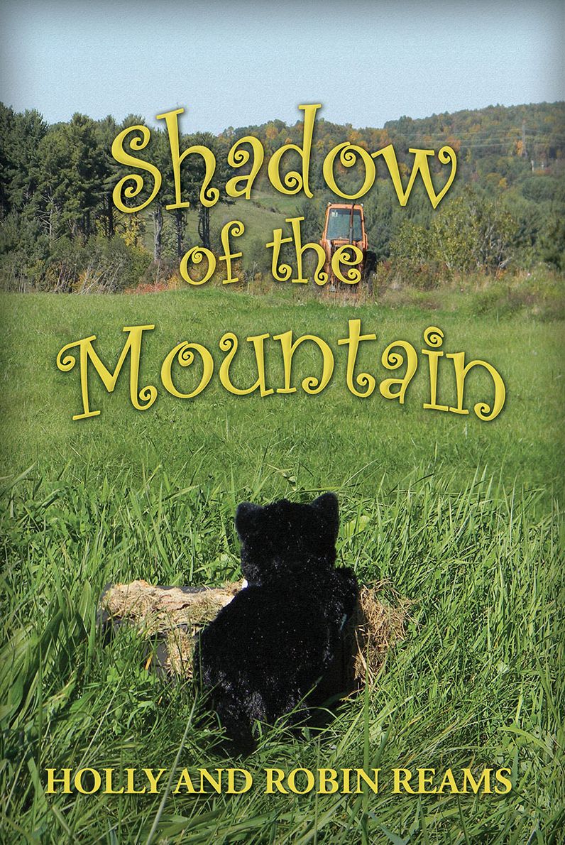 Shadow of the Mountain