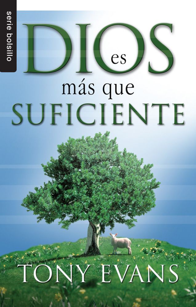 Dios es mas que suficiente
