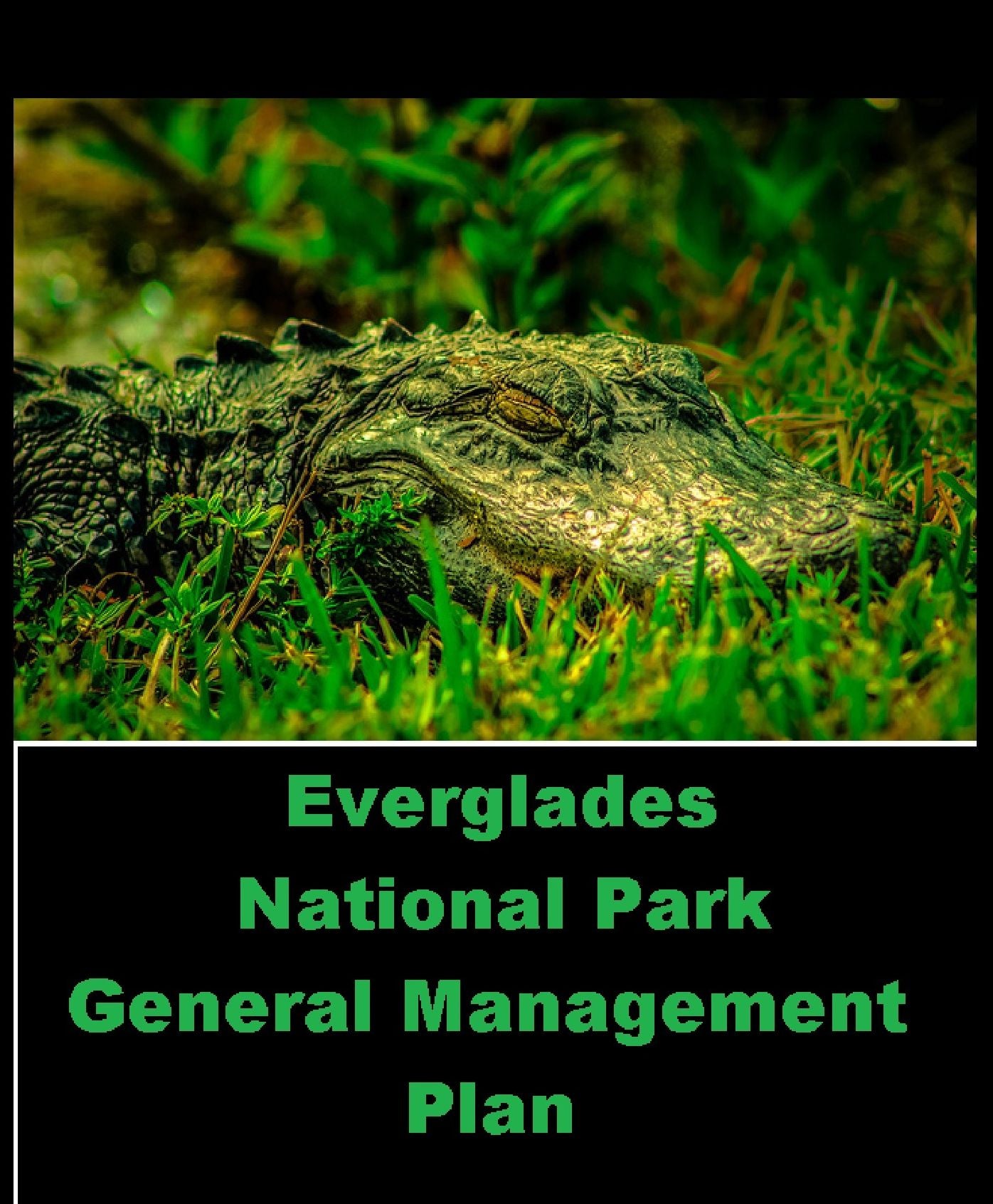 Nature: Everglades National Park - General Management Plan (GMP) ( spiders , tarantula , sea, creature, sea world, underwater world, horse, wild, forest, beast, animals, elephant, photo, fish, wildlife, ocean, shark, octopus )