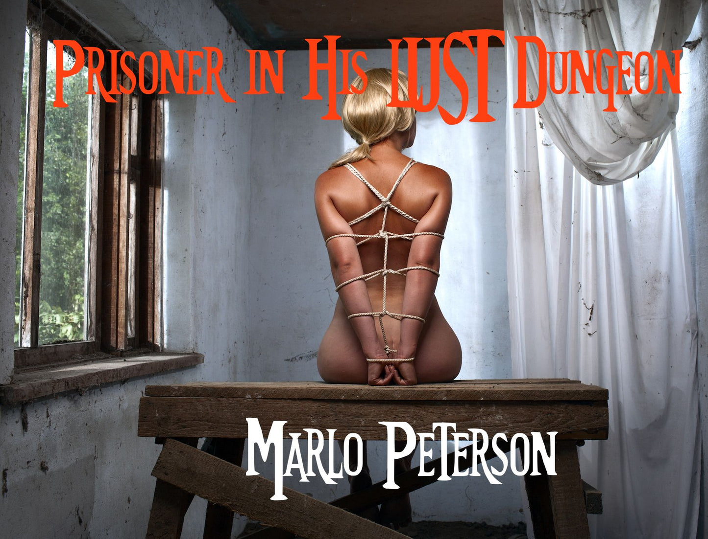 Prisoner in His Lust Dungeon (BDSM Billionaire Erotica)